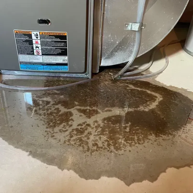 Appliance Leak Cleanup in Linthicum, MD